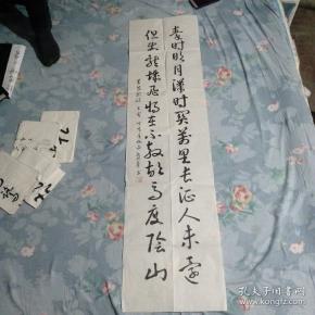 张彬华书法作品 十二