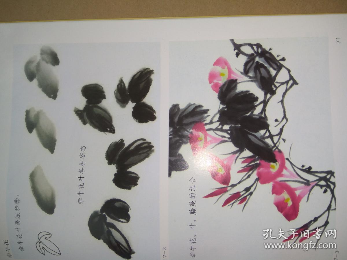 老年中国画教程【基础】花鸟