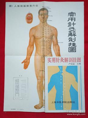 实用针灸 解剖挂图(4开 彩色挂图十二张),穴位说明书一份.即全又完整.