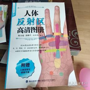 人体反射区高清图册