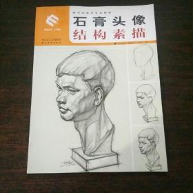 新世纪美术专业教材:石膏头像结构素描