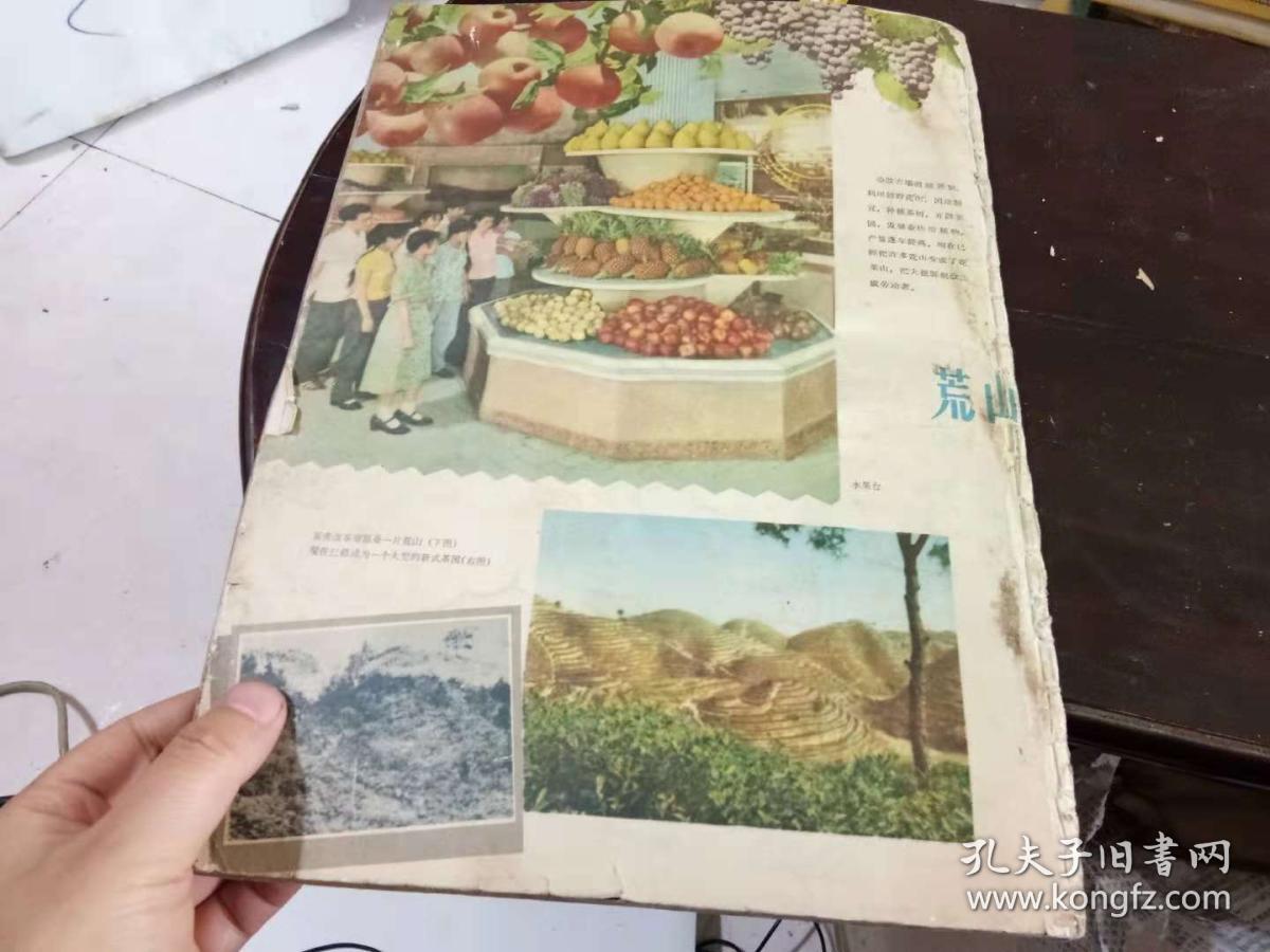 全国劳动改造罪犯工作展览会画册 一版一印 出