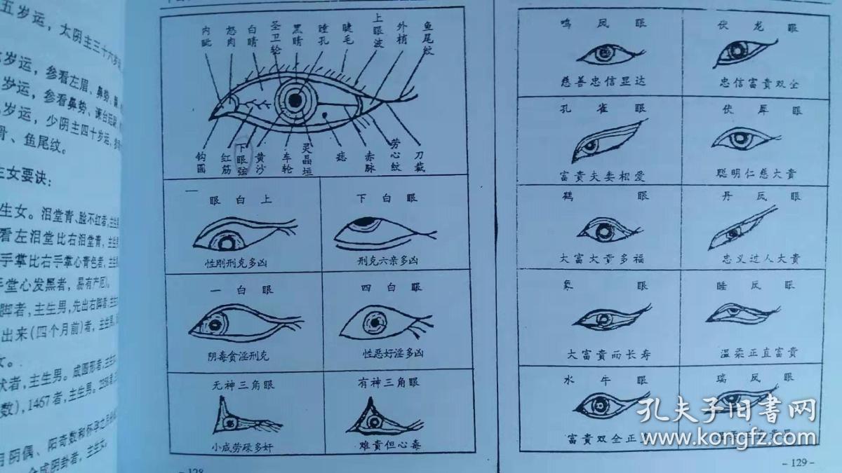 中国秘传面相术