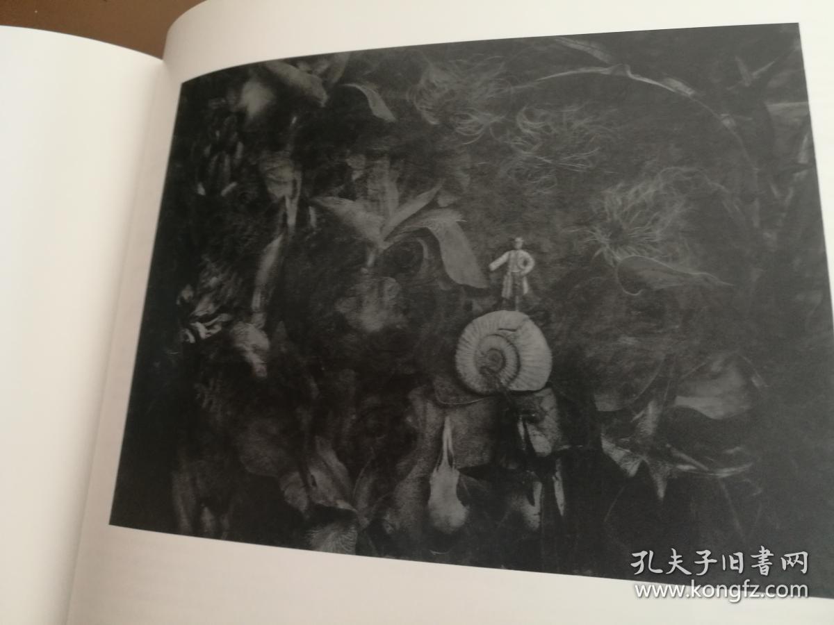 john blakemore photographs 约翰·布莱克蒙摄影集