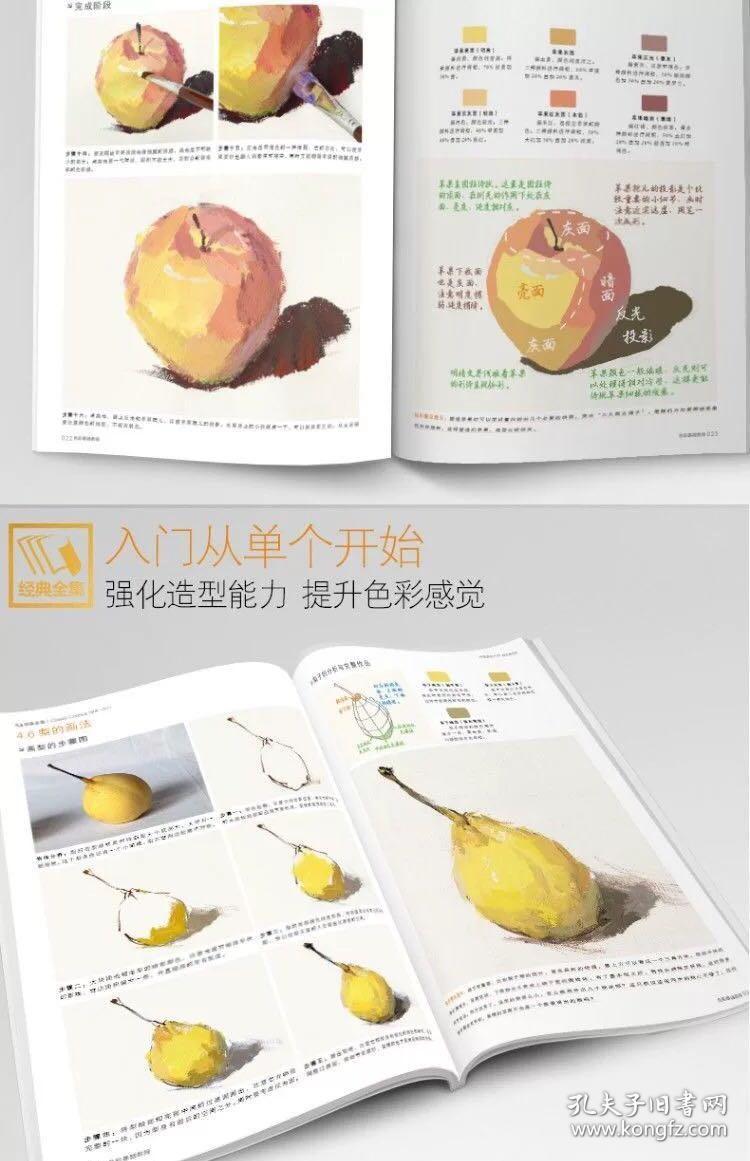 经典全集 色彩基础教程少儿童水粉画临摹零基础入门书籍单个体汇静物