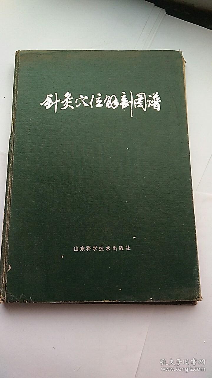 针灸穴位解剖图谱