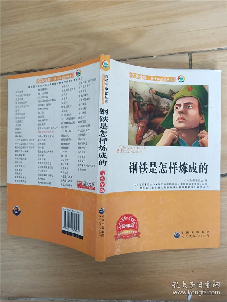 钢铁是怎样炼成的【橙色封面】