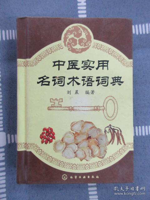 中医实用名词术语词典 硬精装