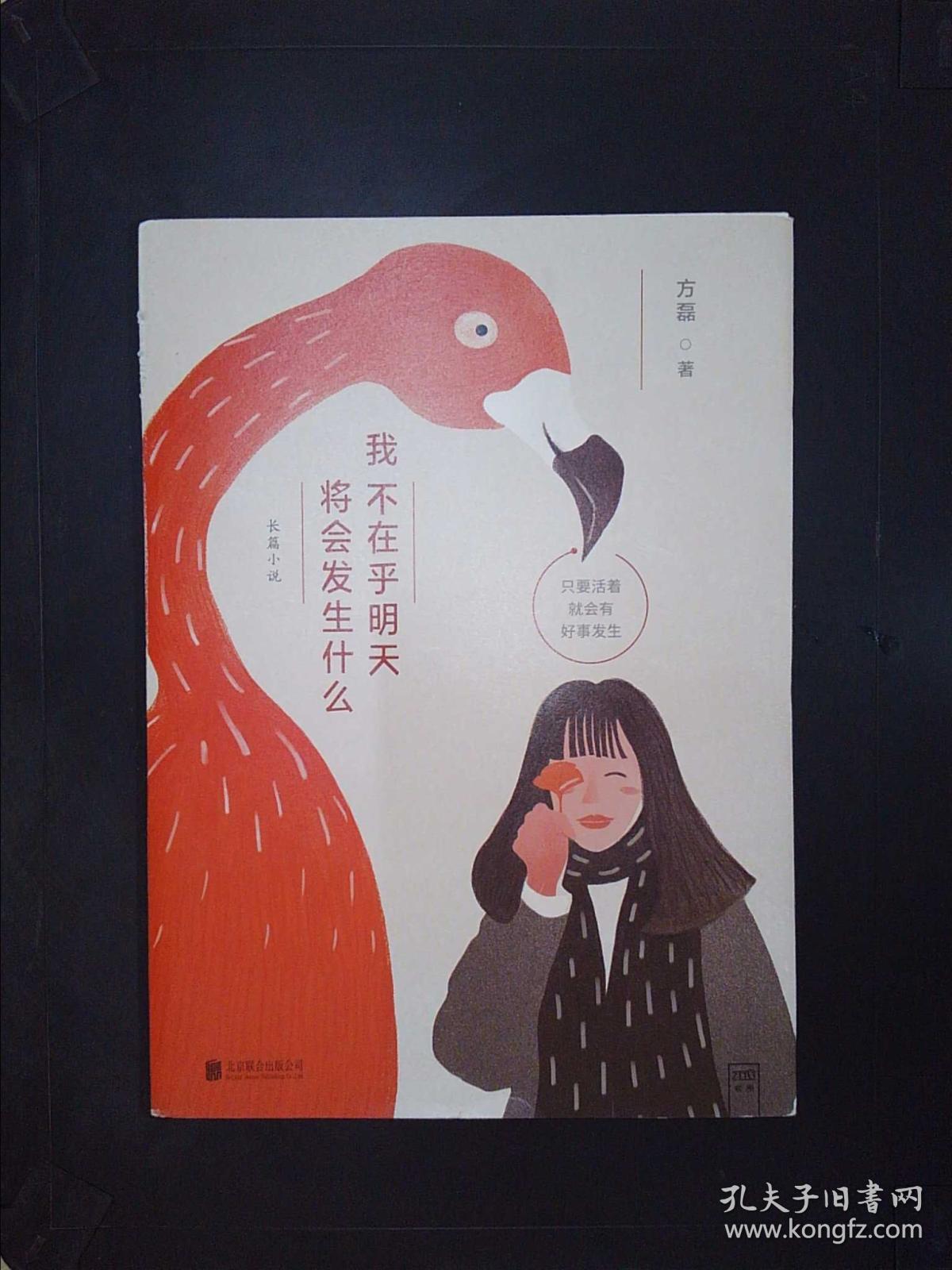 我不在乎明天将会发生什么(方磊签赠本)