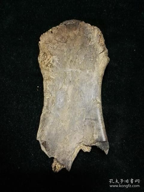 高古生美带铭文骨片2