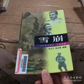 雪崩: 苏 德 战争