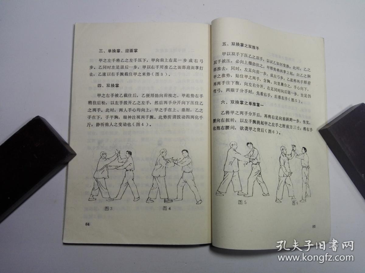 龙形八卦掌