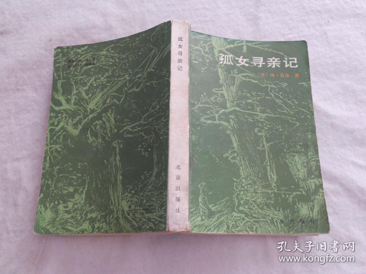 孤女寻亲记(插图本)