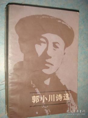 《郭小川诗选》上下册 插图本 郭小川著 人民文学出版社 原版书 私藏