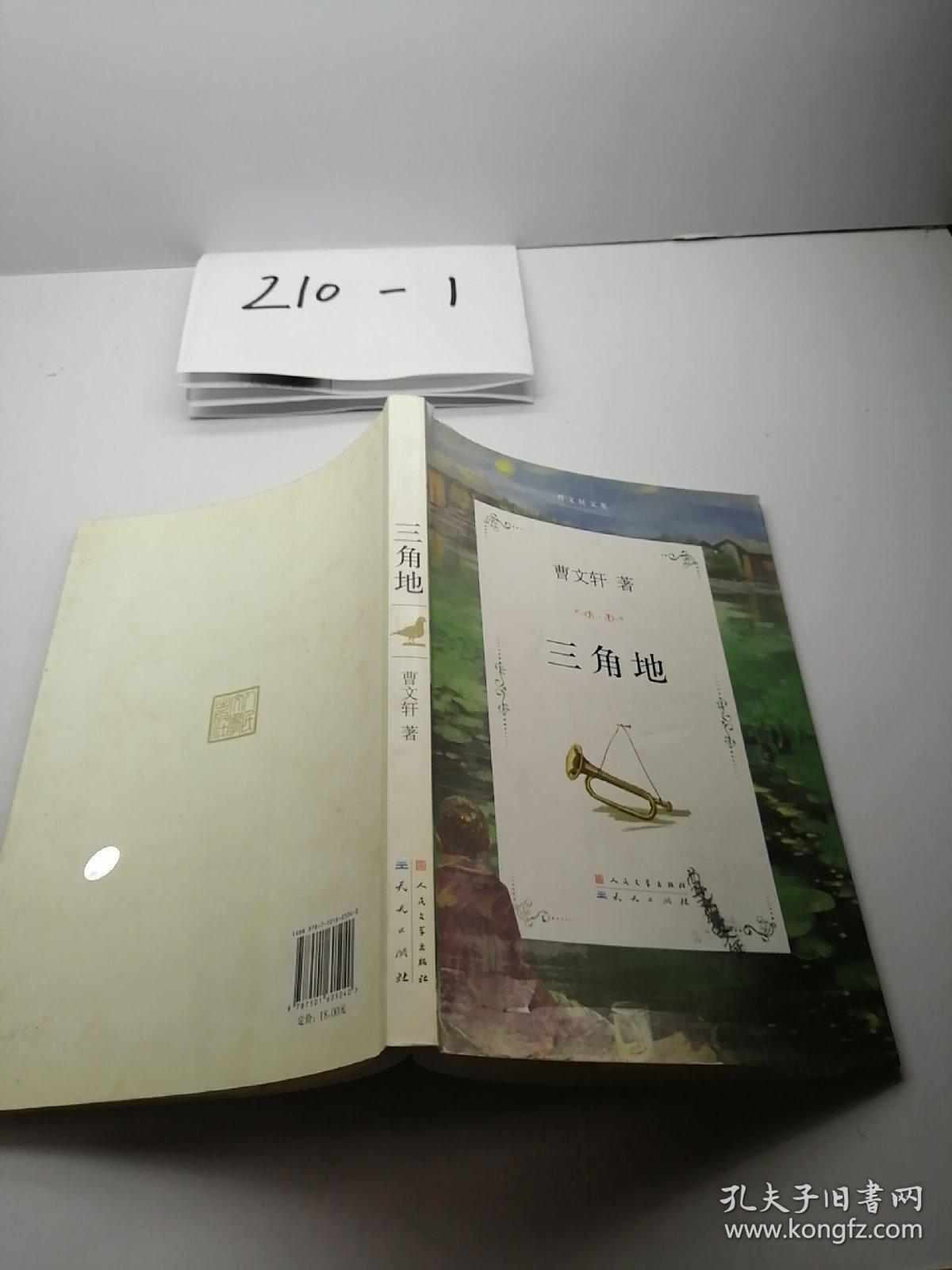 曹文轩文集:三角地