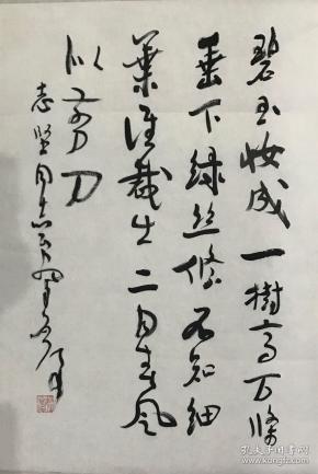 魏启后