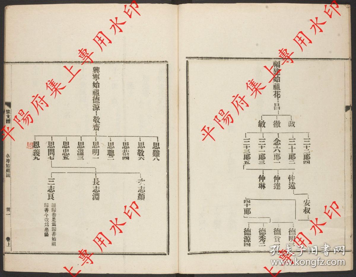 广东惠阳 惠阳廖氏家谱 宗谱 家乘 族谱(复印本)