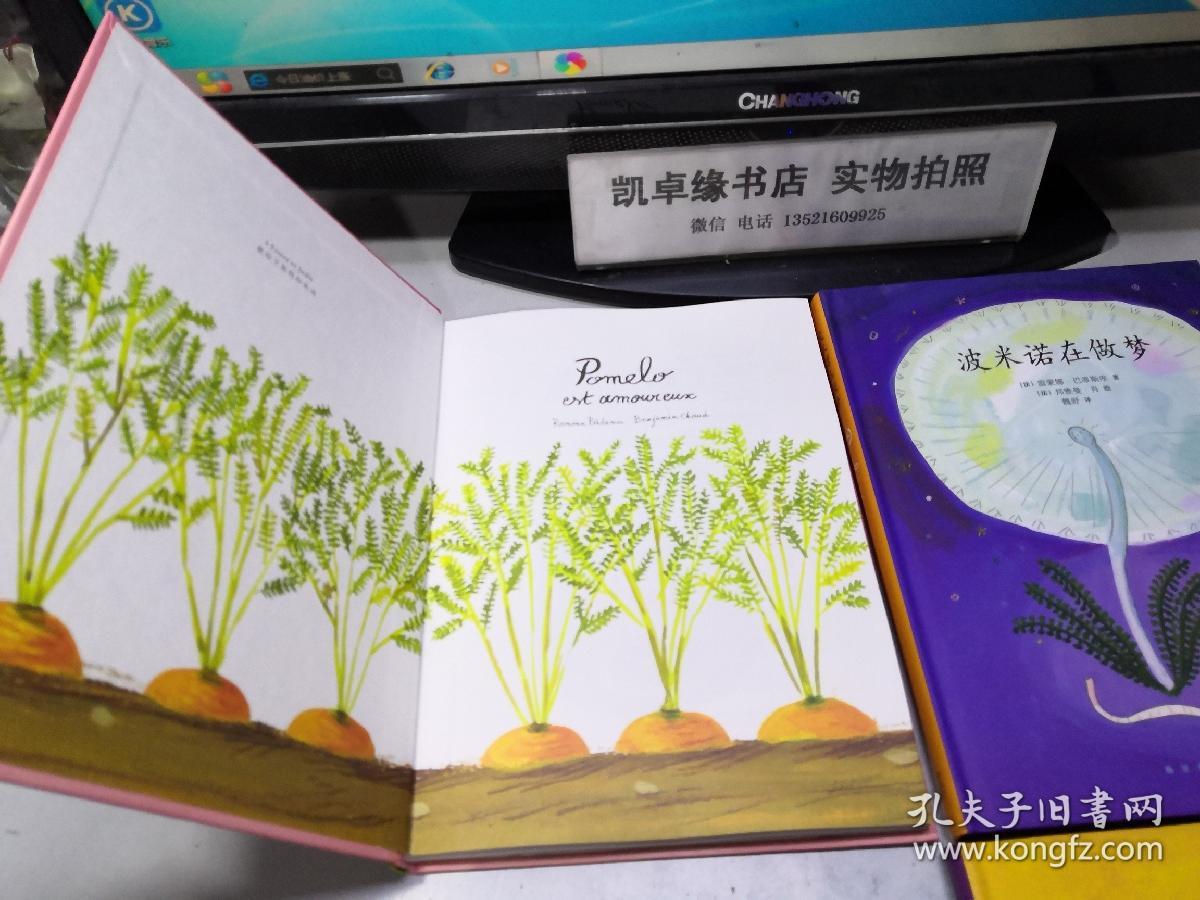 花园小象波米诺;(波米诺想知道,波米诺去旅行,波米诺恋爱了,波米诺