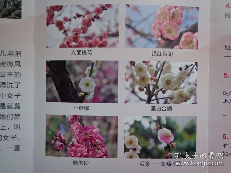 十二项主题活动地梅花科普红梅公园夜景算珠台阁梅花图片银边台阁朱砂