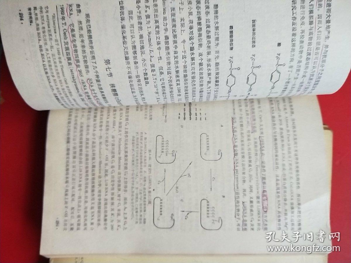 生物化学【第二版】(上下册 )沈同 王镜岩 下册书脊开裂,不缺页,有