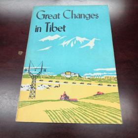 《Great Changes in Tibet》  Dxdtg1