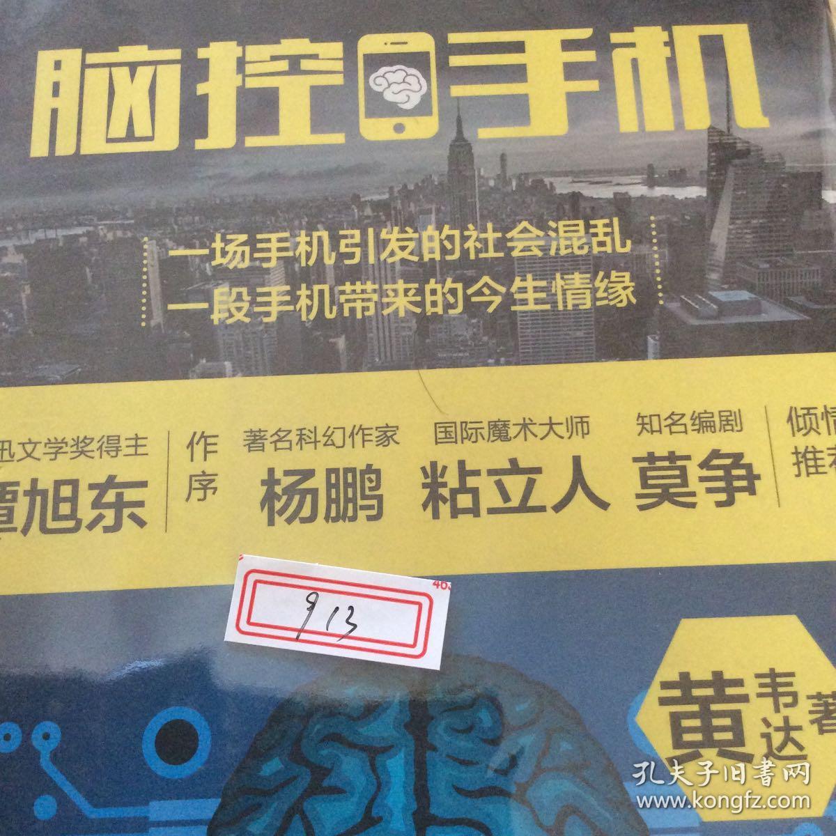 脑控手机:都市情感科幻小说