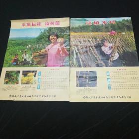 1975年年历。（7--------12月份）中国土产畜产进口总公司宣传画。