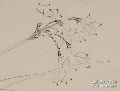 陆治 仿赵孟坚水仙图.纸本大小36.37*1098.75厘米.宣纸原色微喷印制.