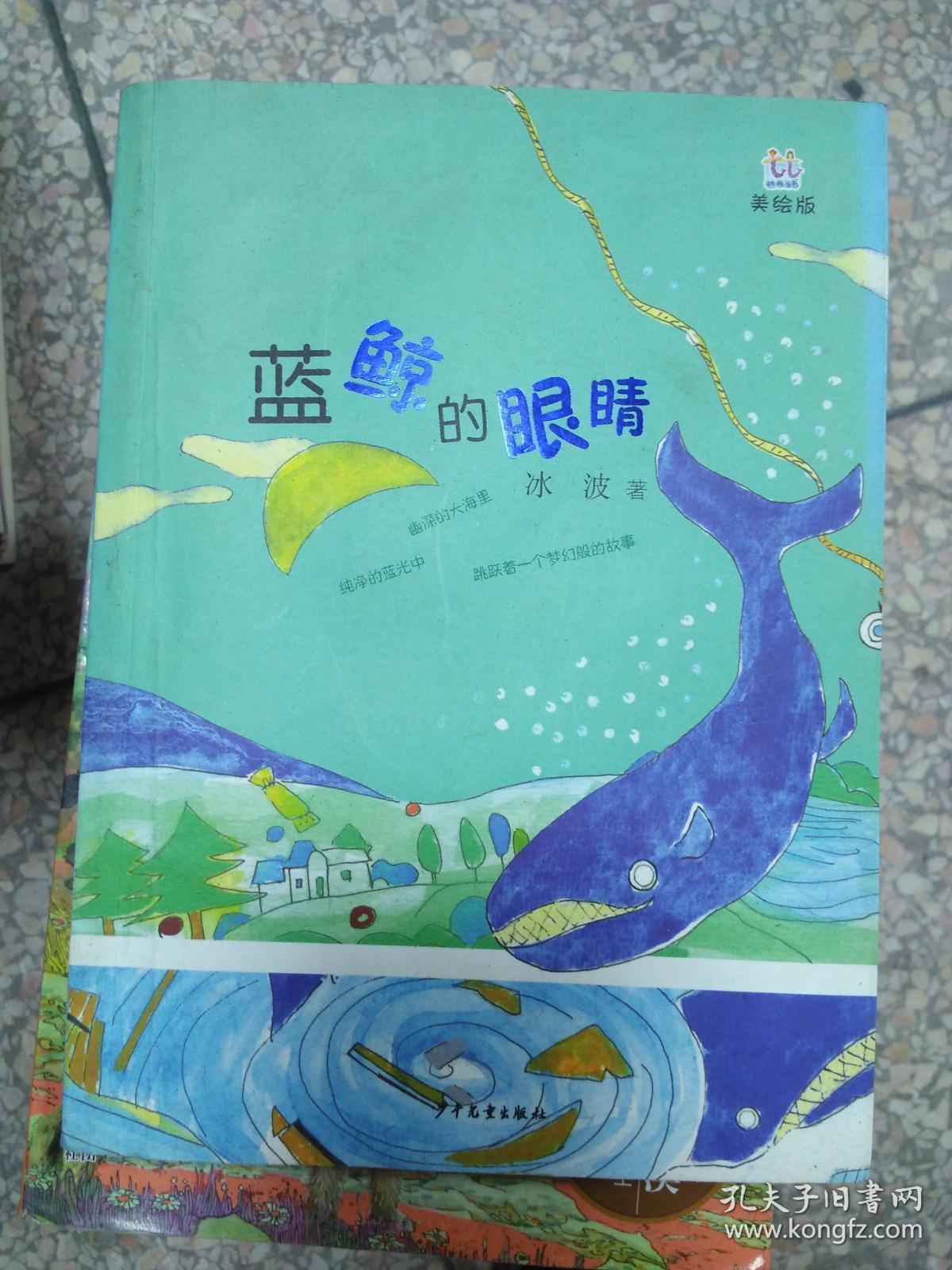蓝鲸的眼睛