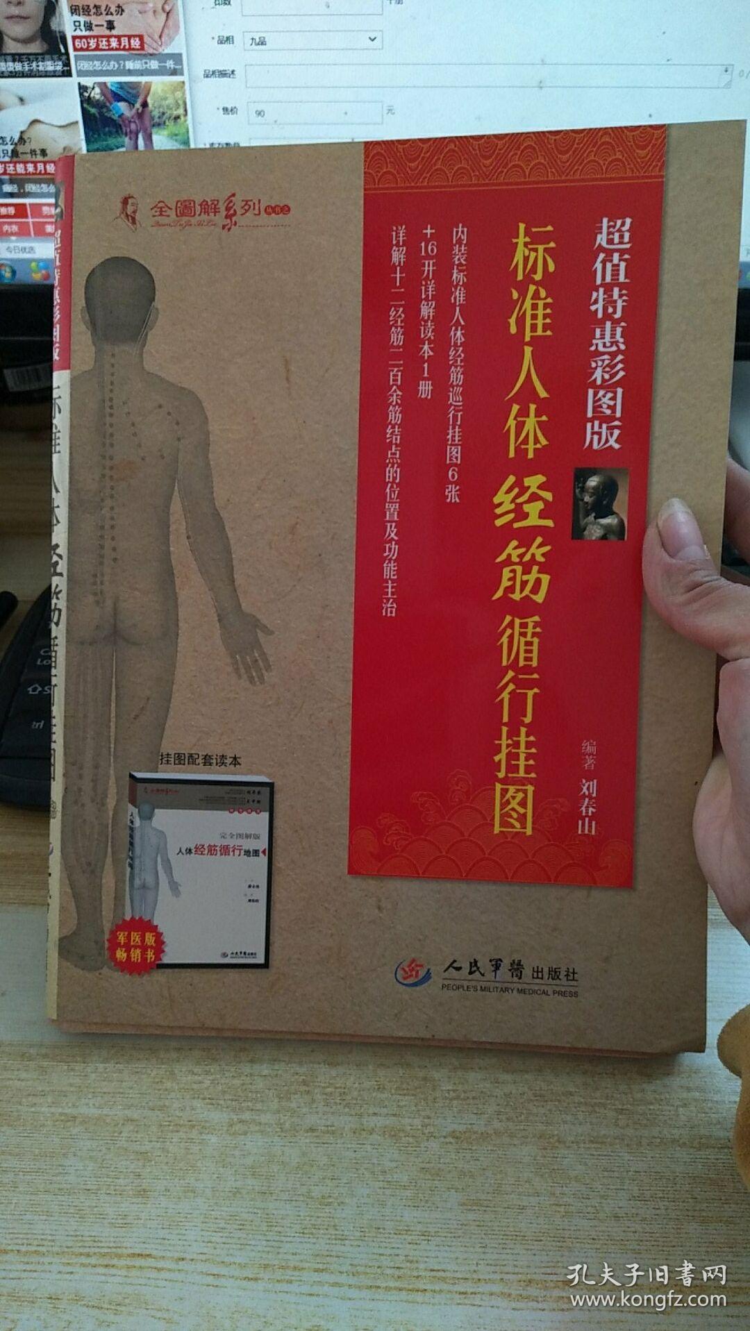 全图解系列丛书:标准人体经筋循行挂图(超值特惠彩图版)
