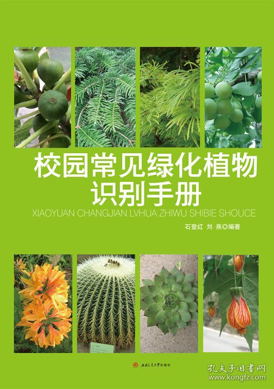 校园常见绿化植物识别手册