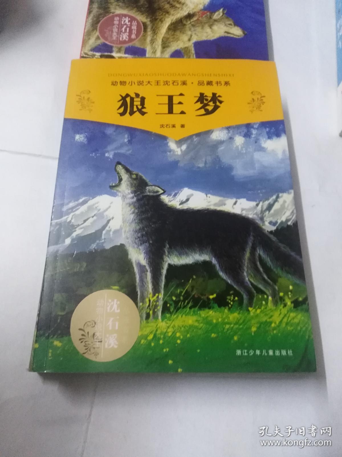 狼王梦