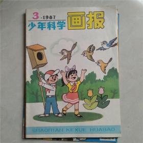 少年科学画报 1987年第12期