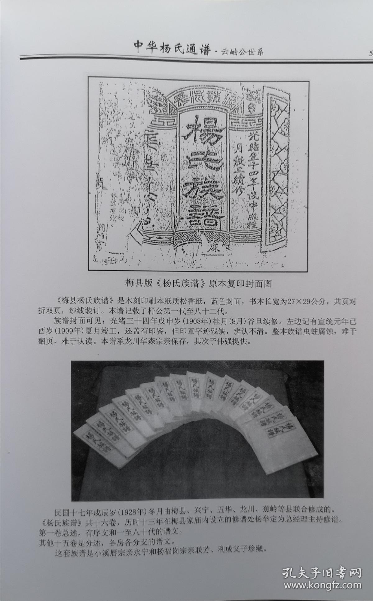 中华杨氏通谱云岫公世系一二卷全部