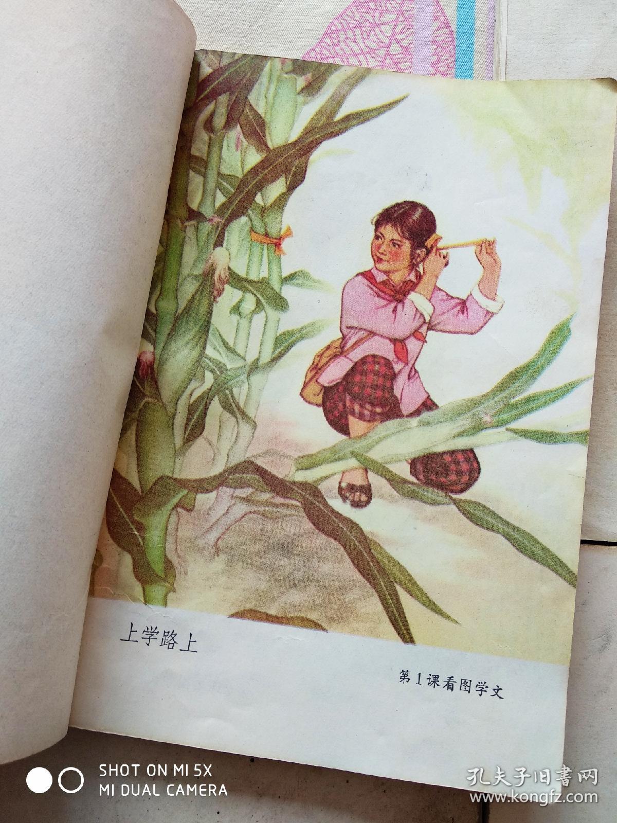 全日制十年制学校语文课本1-10册,60后70后怀旧课本小学语文1至10册