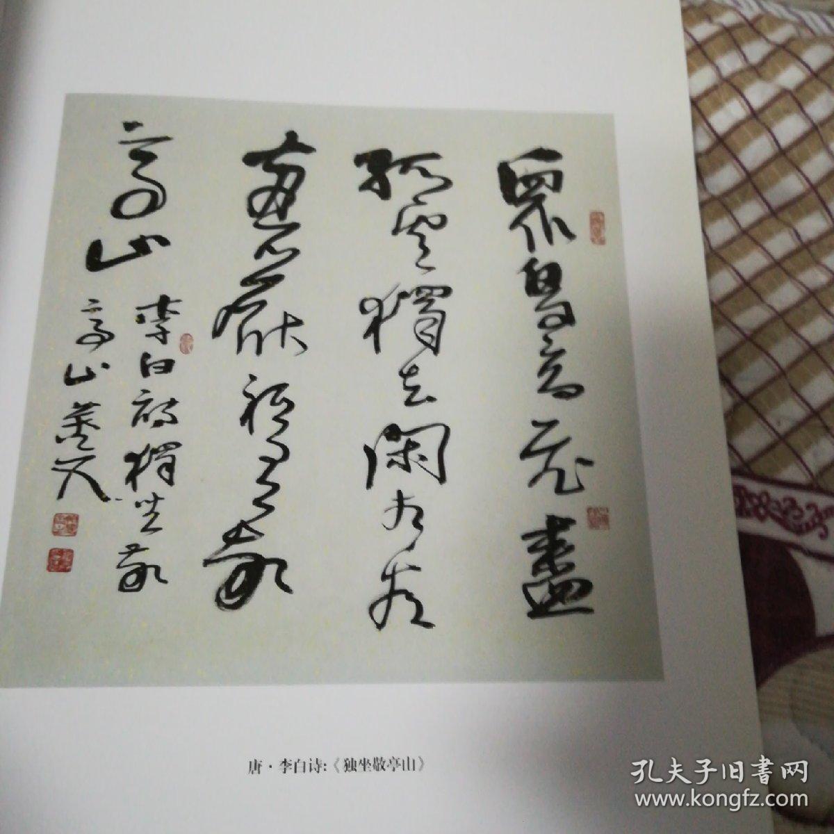 中国著名书法家董文书法艺术