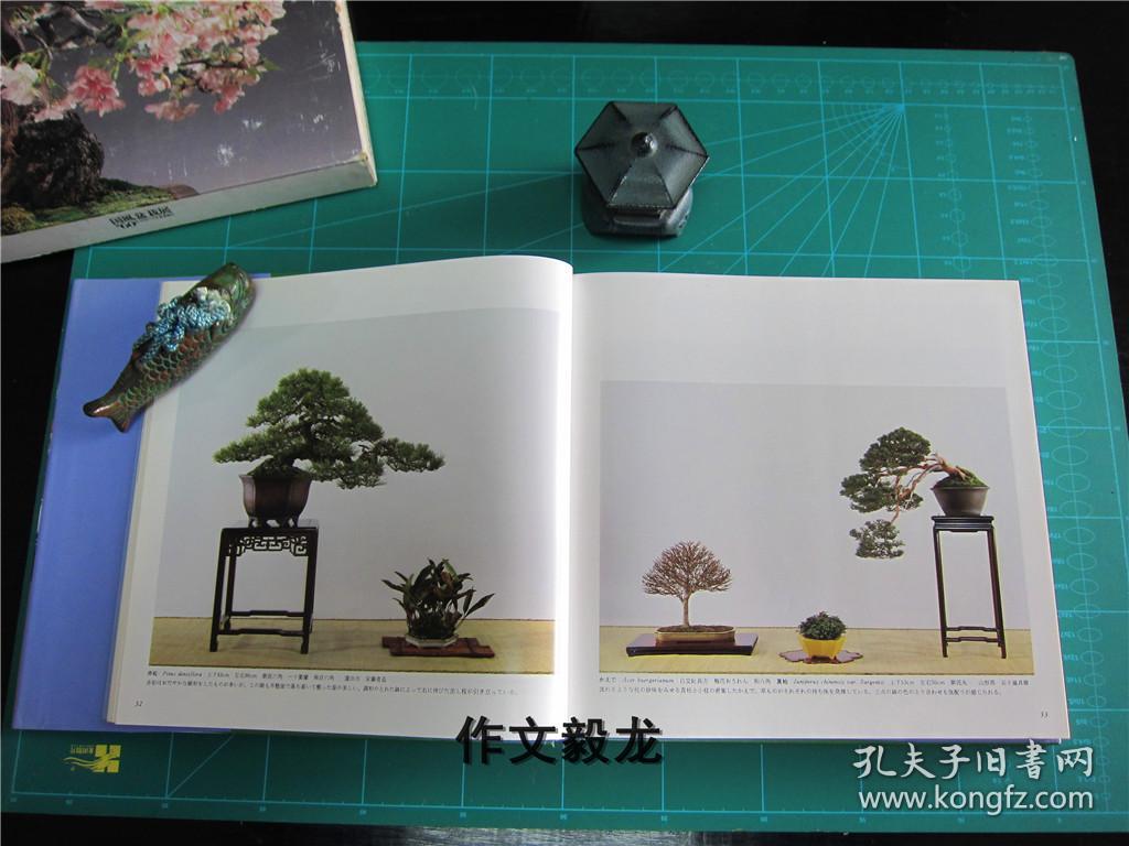 庭院/盆景/植物 ===《国风盆栽展 60》【2.0kg】_日本