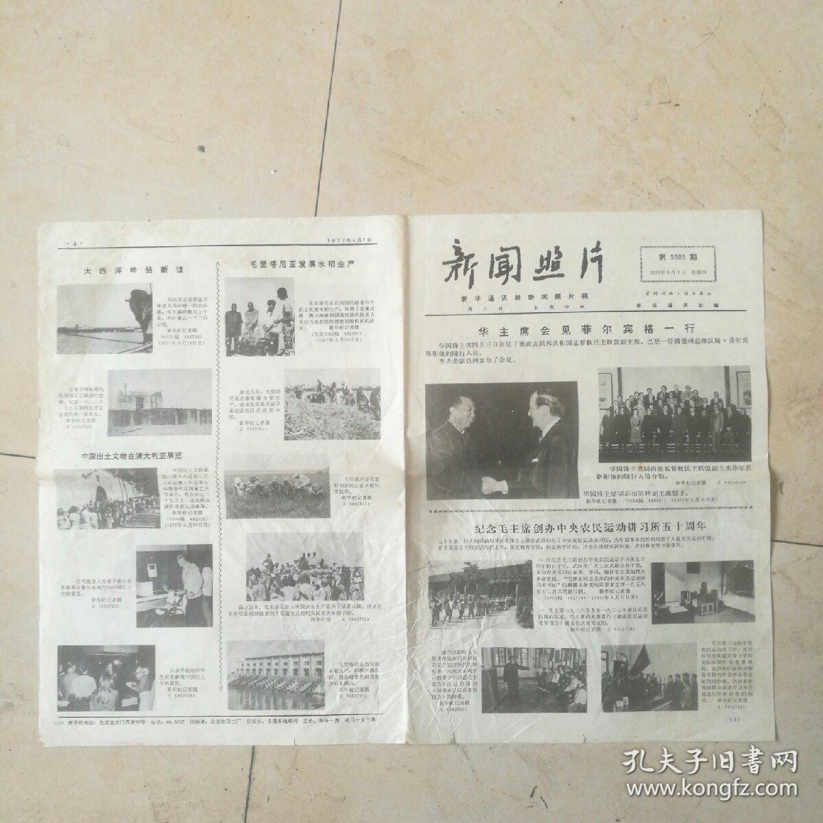 菲尔宾人口_玛丽·菲尔宾演员