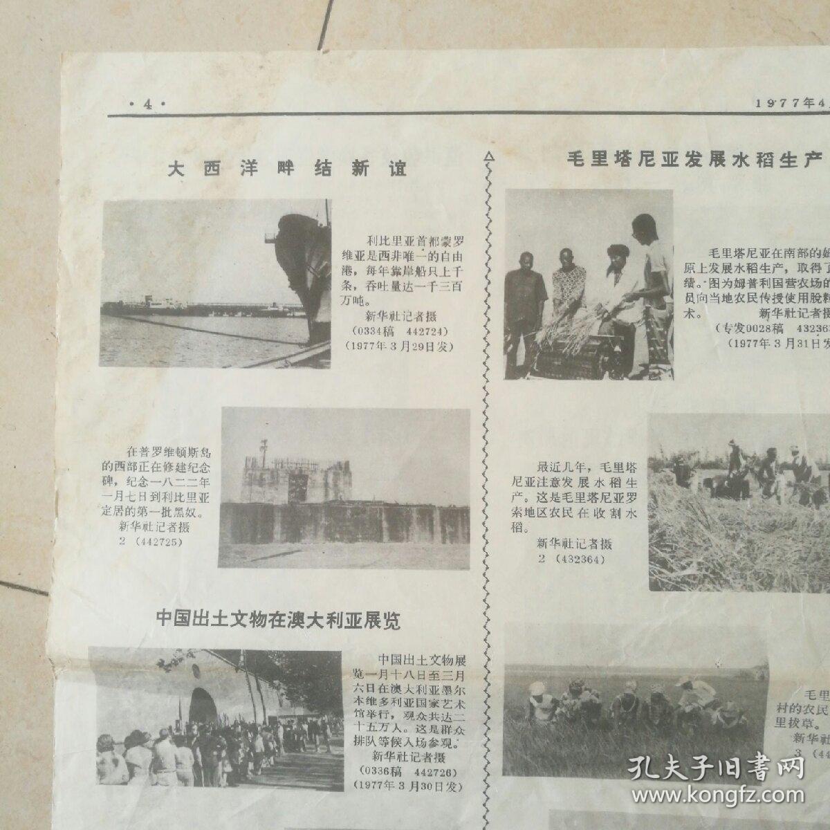 菲尔宾人口_玛丽·菲尔宾演员