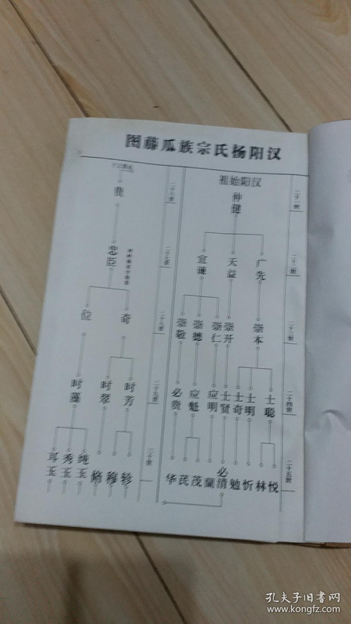 杨氏宗谱 全套13册全 四知堂_武汉市东西湖区杨家台