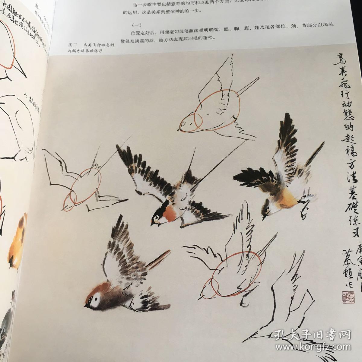 老年国画大学堂:鸟写意花鸟画技法