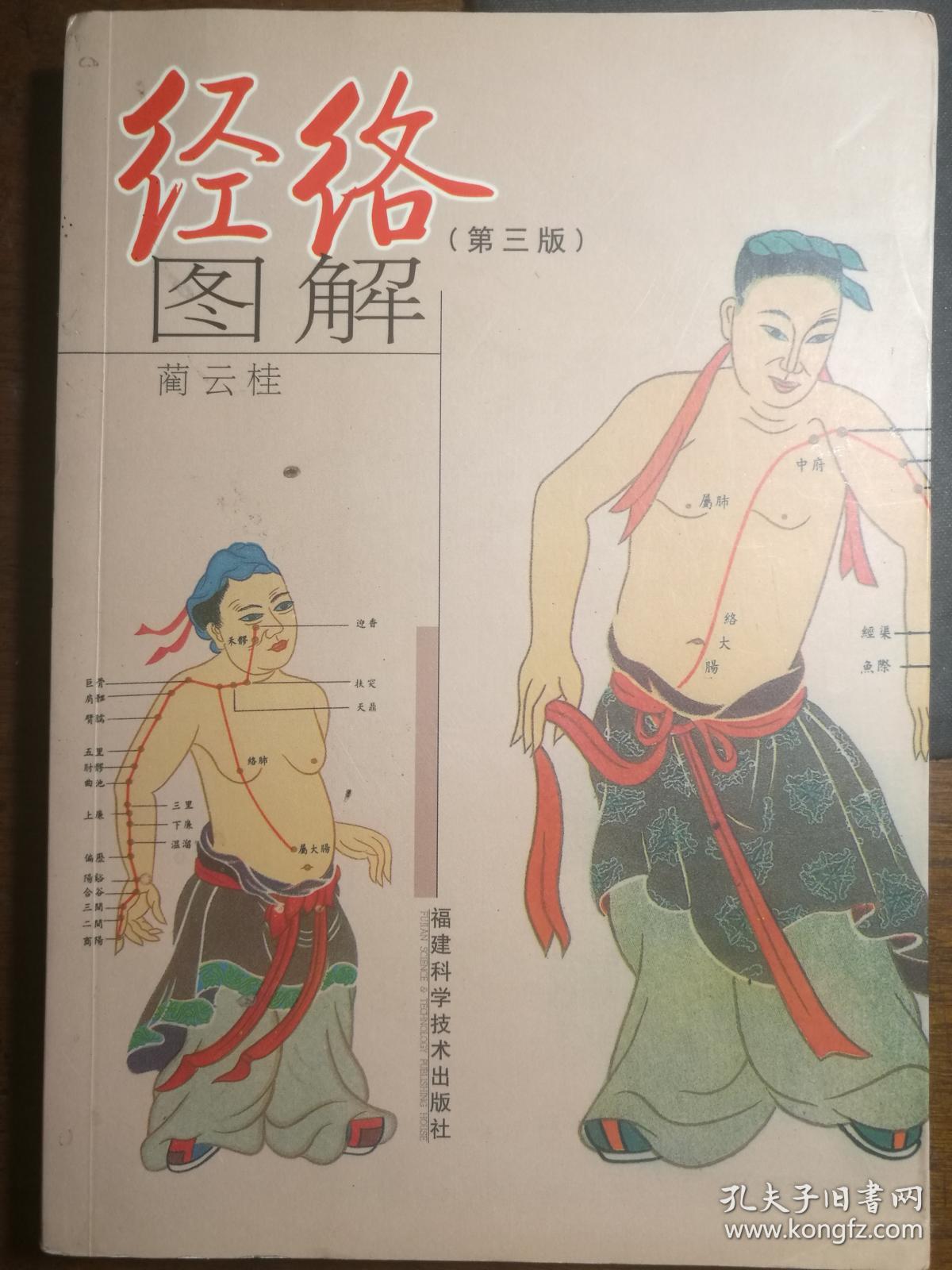 经络图解【第三版】