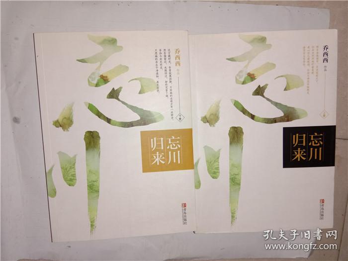 忘川归来(上下)