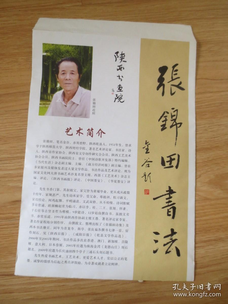 张锦田(陕西省榜书家协会副主席,,书法家,作家,诗人,著名艺术评论家)