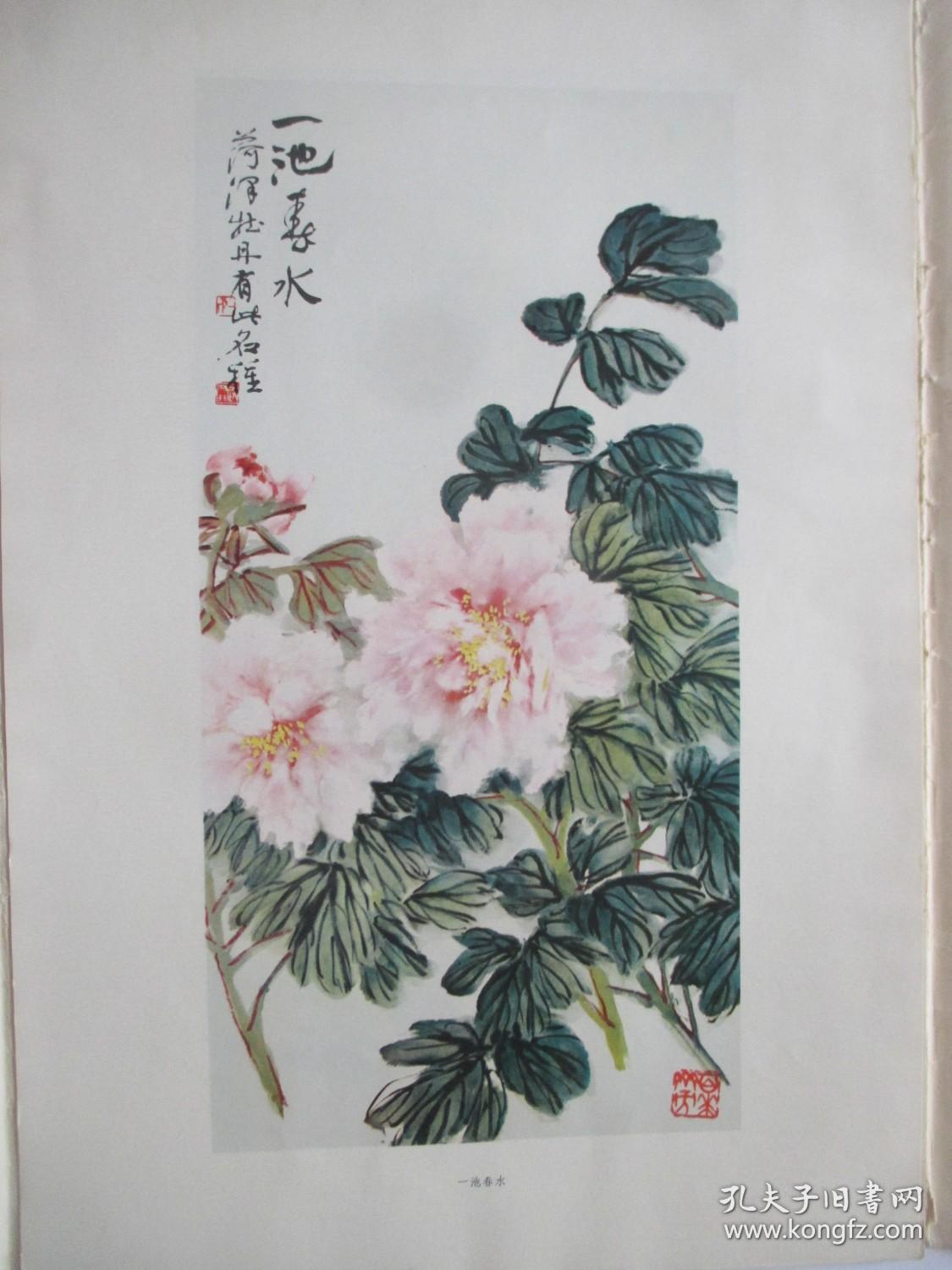 陆抑非花鸟画选