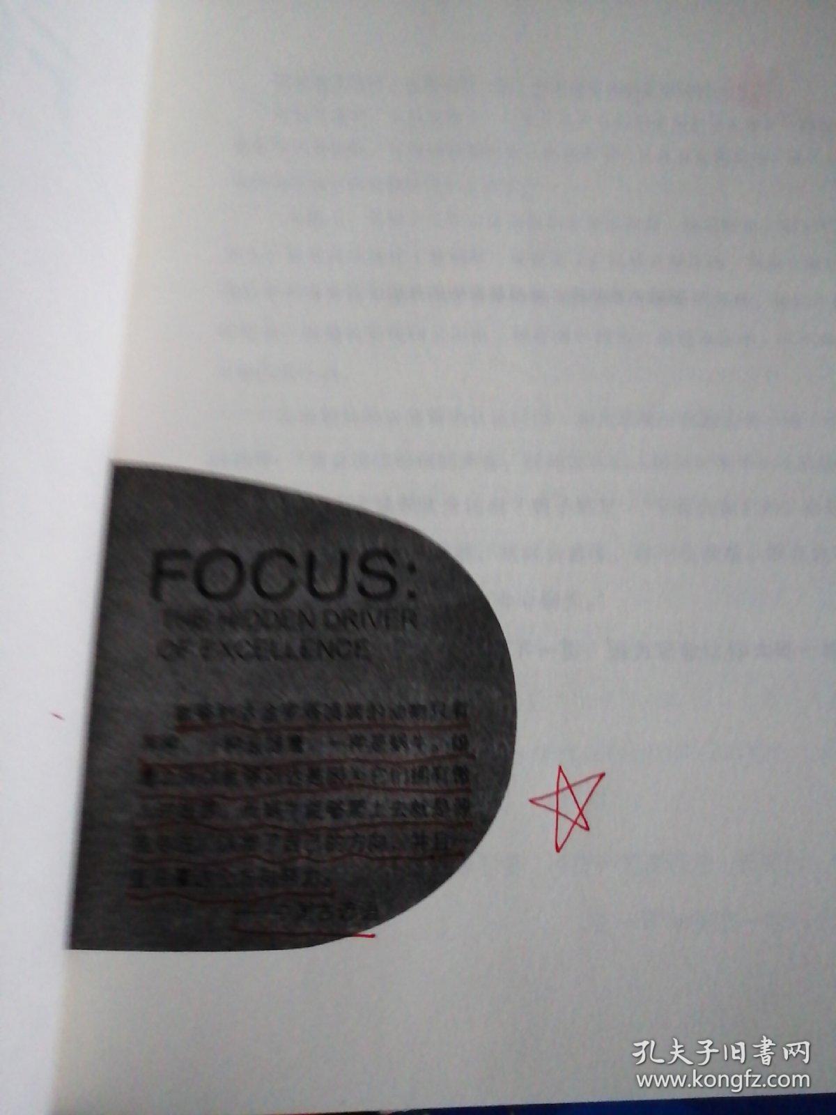 专注:focus: the hidden driver of excellence