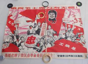热烈欢呼宁波区市革命委员会成立宣传画