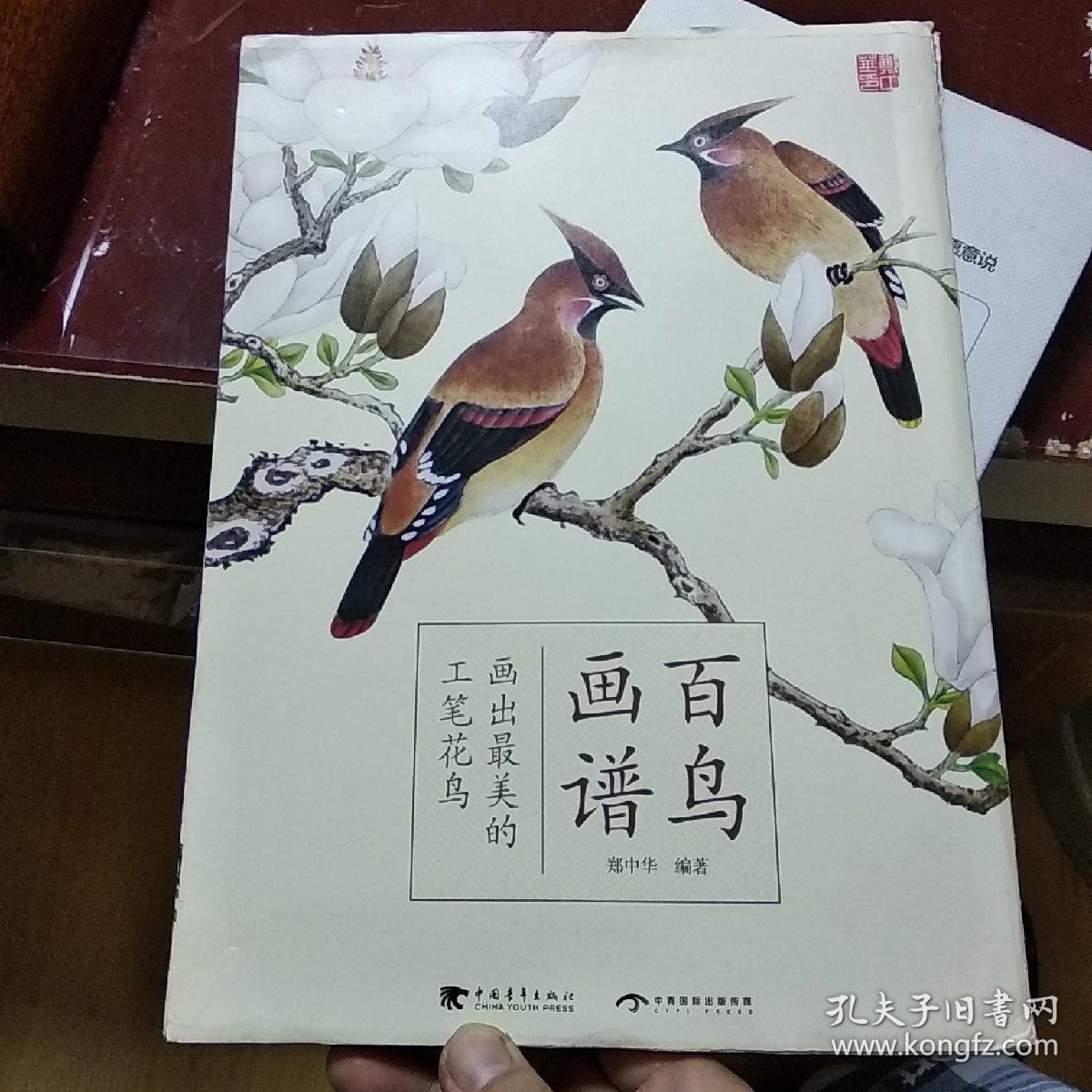 百鸟画谱:画出最美的工笔花鸟(中文版)