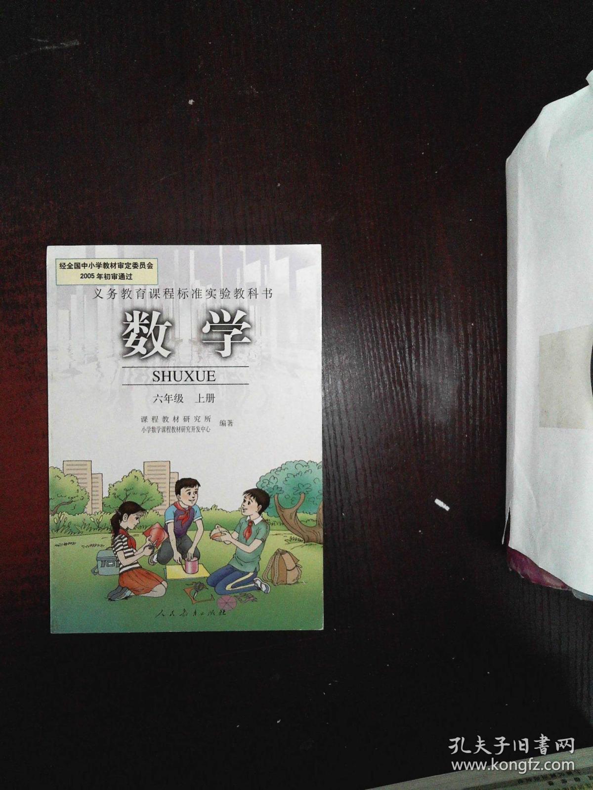 2005年九年义务教育六年制小学教科书:数学 六年级下册