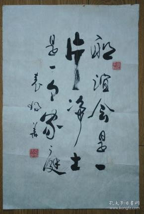 手书真迹书法:中书协会员袁瑞华草书《联谊会是一片净土 是一个家庭》